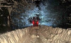 Kardan kapanan 191 köy yolu ulaşıma açıldı