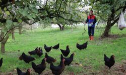 Kırsal kalkınmaya 'kanatlı' destek