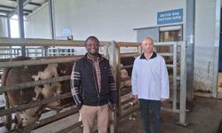 Mezbaha tesisi İslam ülkelerine örnek gösterildi