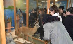 Öğrenciler hayvan müzesini ilgi ile gezdi