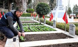 Şehitliklerde bakım ve çiçeklendirme çalışması
