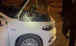 Uyuşturucu operasyonu: 5 tutuklama