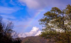 Yağıştan sonra gökyüzünde gökkuşağı oluştu