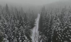 Yüksek kesimler beyaza büründü