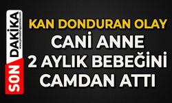 Cani anne 2 aylık bebeğini camdan attı