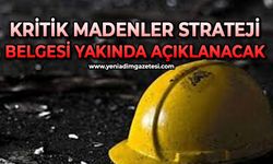 Kritik madenler strateji belgesi yakında açıklanacak