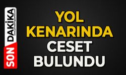 Yol kenarında ölü bulundu