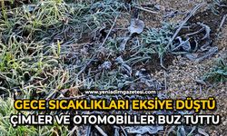 Gece sıcaklıkları eksiye düştü: Çimler ve otomobiller buz tuttu