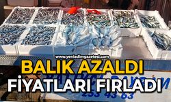 Balık azaldı: Fiyatları fırladı