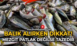 Balık alırken dikkat: Mezgit patlak değilse tazedir