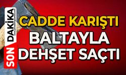 Cadde karıştı: Baltayla korku anlar yaşattı