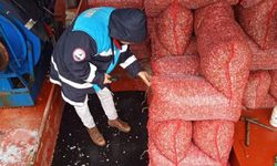 Beyaz kum midyesine sıkı denetim