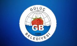 Gülüç Belediyesi renkli parke taşı alım işi