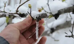 Don ve buzlanma uyarısı: 'Bu gece en soğuk geceyi yaşayacağız'