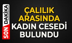 Çalılık arasında kadın cesedi bulundu: Ekipler olay yerinde