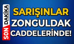 Sarışınlar Zonguldak caddelerinde
