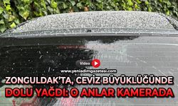 Zonguldak'ta ceviz büyüklüğünde dolu yağdı