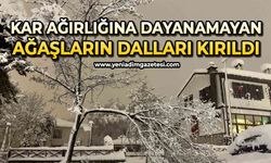 Kar ağırlığına dayanamayan çok sayıda ağacın dalların kırıldı