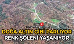 Doğa altın gibi parlıyor: Renk şöleni yaşanıyor