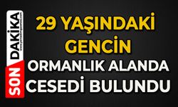 29 yaşındaki genç ormanda ölü bulundu