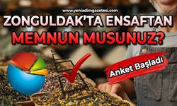 Zonguldak'ta esnaftan memnun musunuz?