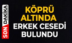 Köprü altında erkek cesedi bulundu