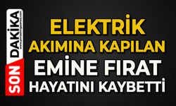 Elektrik akımına kapılan Emine Fırat hayatını kaybetti