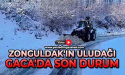 Zonguldak'ın Uludağı Gaca'da son durum