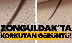 Zonguldak’ta korkutan görüntü!