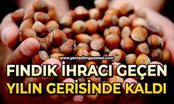 Fındık ihracı geçen yılın gerisinde kaldı