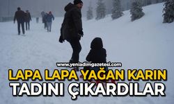 Lapa lapa kar yağıyor