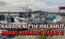 Karadeniz'de palamut hayal kırıklığı yaşattı