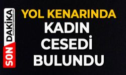 Yol kenarında kadın cesedi bulundu