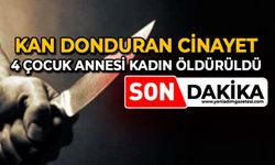 Kan donduran cinayet: 4 çocuk annesi kadın öldürüldü