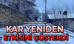 Kar yeniden etkisini gösterdi