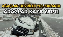 Ağaçlar devrildi yol kapandı: Araçlar kaza yaptı