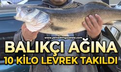Balıkçı ağına 10 kiloluk levrek takıldı