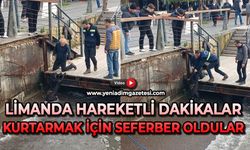 Zonguldak Limanı'nda hareketlilik: Kurtarmak için seferber oldular