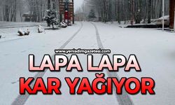 Lapa lapa kar yağıyor