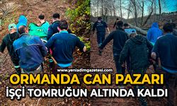 Ormanda can pazarı: İşçi tomruğun altında kaldı