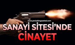 Sanayi sitesinde cinayet