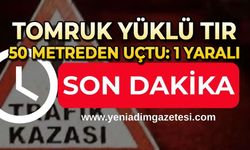 Tomruk yüklü tır 50 metreden uçtu: 1 yaralı