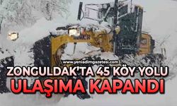 Zonguldak'ta 45 köy yolu kar nedeniyle ulaşıma kapandı