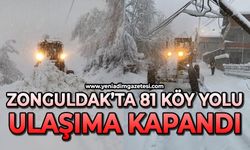 Kar nedeniyle 81 köy yolu ulaşıma kapandı