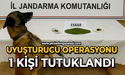 Uyuşturucu operasyonu: 1 kişi tutuklandı