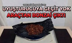 Uyuşturucuya geçit yok: Araçtan bonzai çıktı