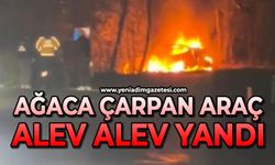 Ağaca çarpan araç alev alev yandı