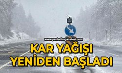 Kar yağışı yeniden başladı