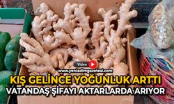 Kış gelince yoğunluk arttı: Vatandaş şifayı aktarlarda arıyor