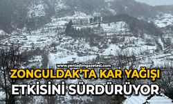 Zonguldak’ta kar yağışı etkisini sürdürüyor